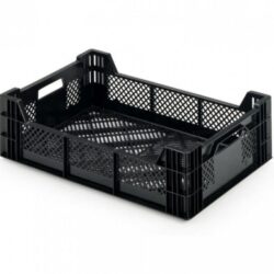 Perennial box 60 x 40 x 11/16