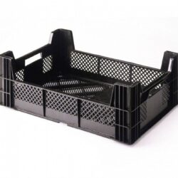 Perennial box 60 x 40 x 11/19