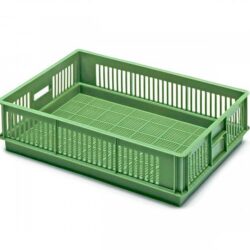 Chick box 60 x 40 x 11